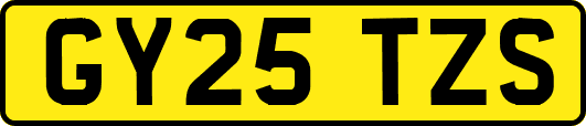 GY25TZS