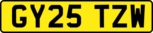 GY25TZW