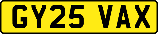 GY25VAX