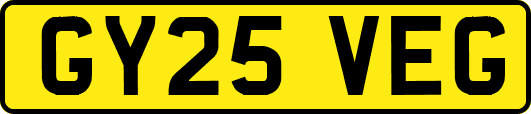 GY25VEG
