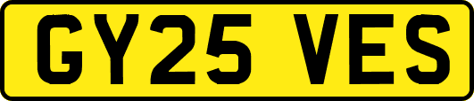 GY25VES