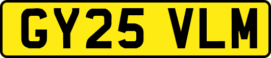 GY25VLM