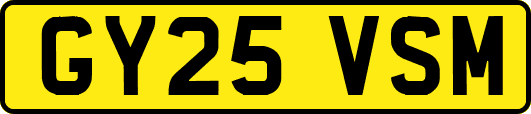 GY25VSM