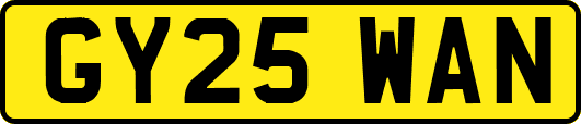 GY25WAN