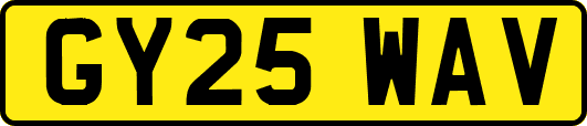 GY25WAV