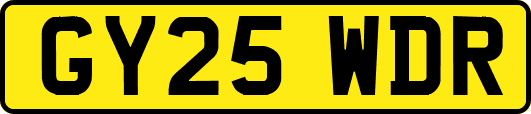 GY25WDR