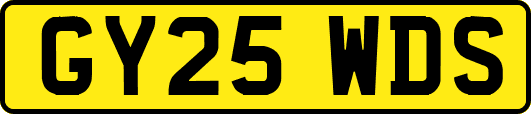 GY25WDS