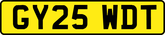 GY25WDT