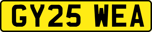 GY25WEA