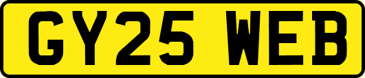 GY25WEB