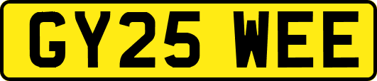 GY25WEE