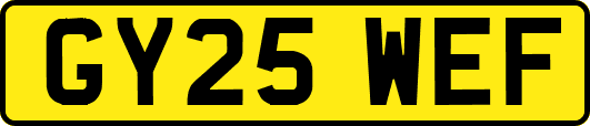 GY25WEF