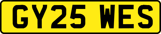 GY25WES