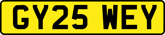 GY25WEY