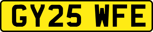 GY25WFE