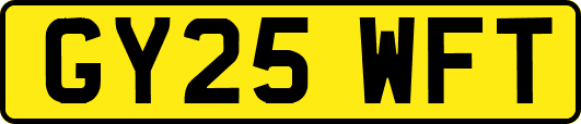GY25WFT