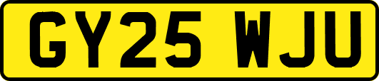 GY25WJU