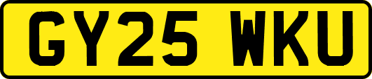 GY25WKU