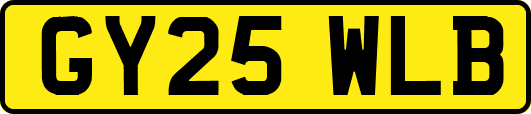 GY25WLB