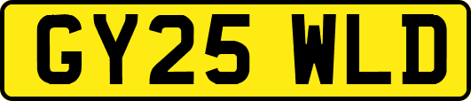GY25WLD