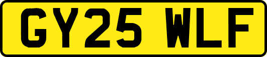 GY25WLF
