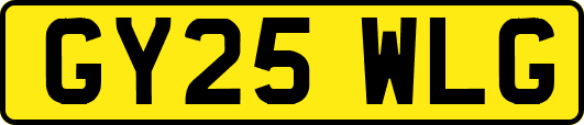 GY25WLG