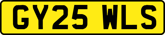 GY25WLS
