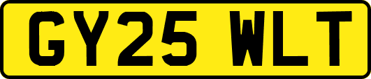 GY25WLT