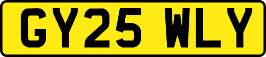 GY25WLY