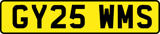 GY25WMS
