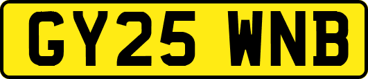 GY25WNB