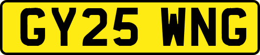GY25WNG