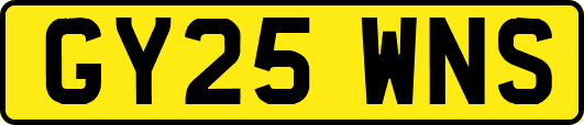 GY25WNS