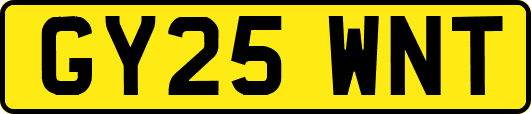 GY25WNT