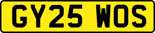 GY25WOS
