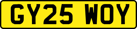 GY25WOY