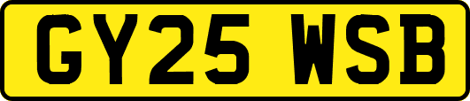 GY25WSB