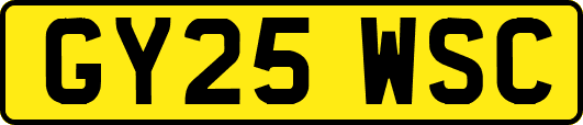 GY25WSC