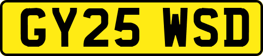 GY25WSD