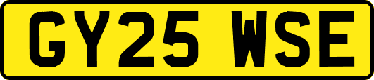 GY25WSE