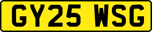 GY25WSG