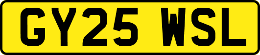 GY25WSL