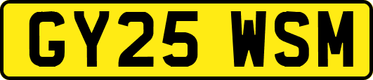 GY25WSM