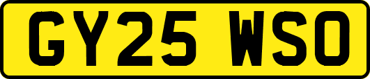 GY25WSO
