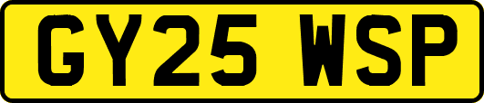 GY25WSP