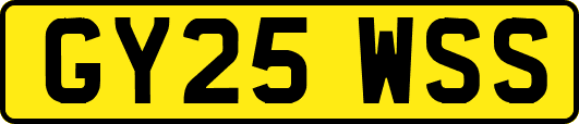 GY25WSS