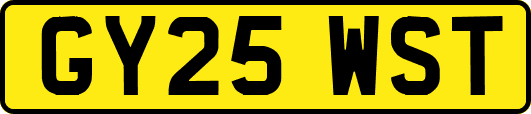 GY25WST