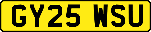 GY25WSU