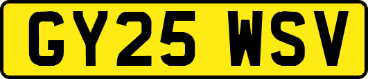 GY25WSV