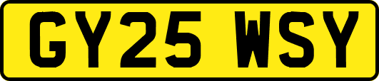 GY25WSY